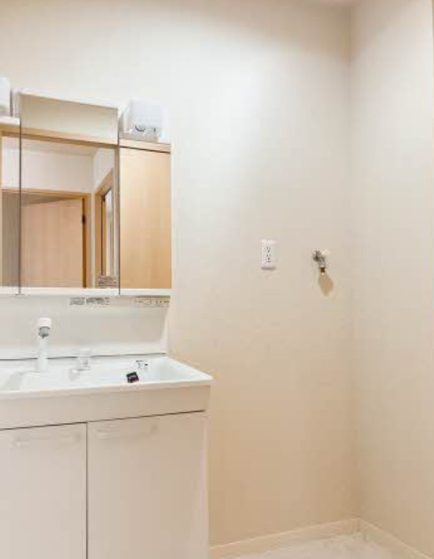 シャーメゾンリエートの洗面所