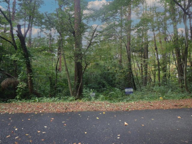 ロイヤルシティ大山リゾート①の外観