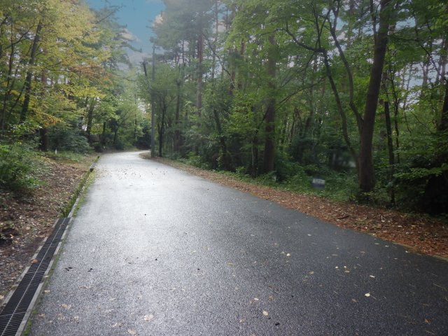 ロイヤルシティ大山リゾート①の前面道路含む現地写真