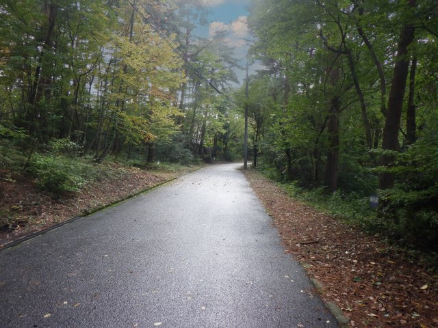 ロイヤルシティ大山リゾート①の前面道路含む現地写真