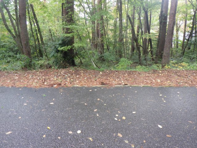 ロイヤルシティ大山リゾート①の外観