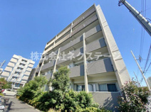 パステロの画像