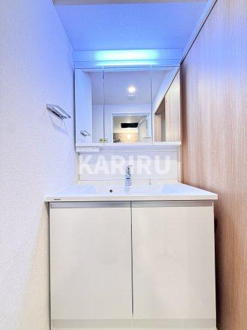 スプランディッド本町グランの洗面所