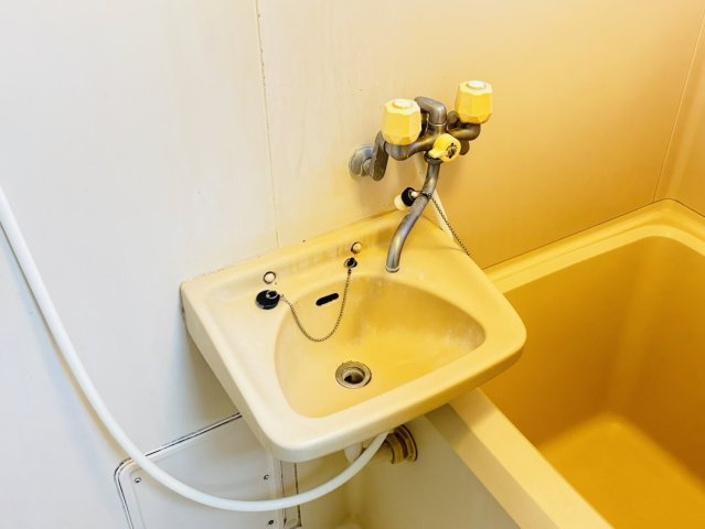 コーポサンクスの洗面所