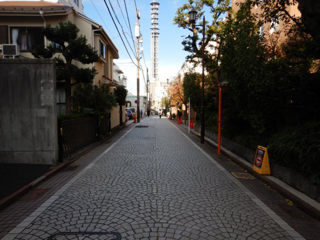 ライオンズガーデン四谷津の守坂の周辺