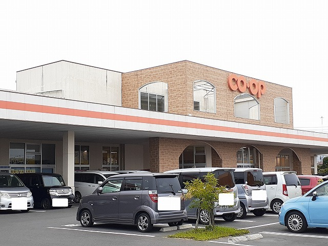 アルタサピアのその他|その他