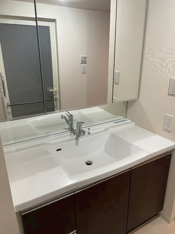 ライオンズ守谷駅前プレミアムの洗面所