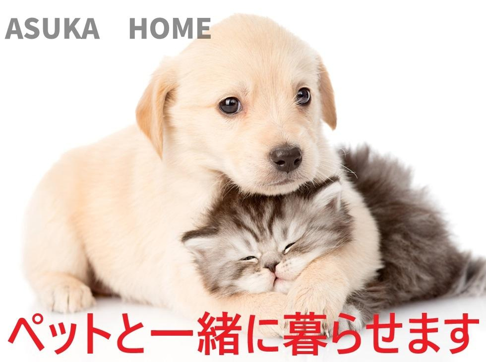 三ツ沢ハイタウン一号棟のその他|ペットと一緒に暮らせるのは嬉しいですね。