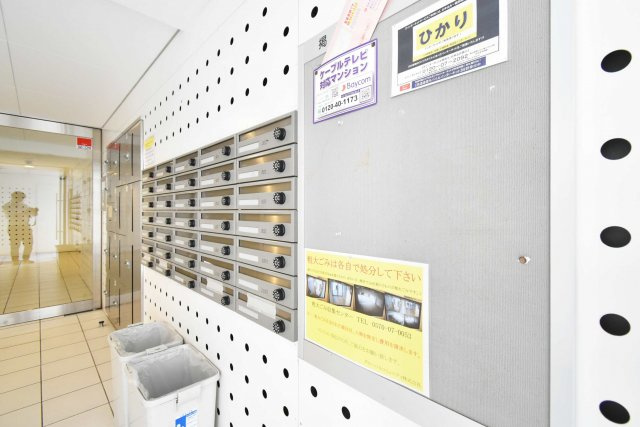 ゼウスアルファのその他