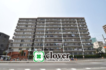 エクセル大島の画像