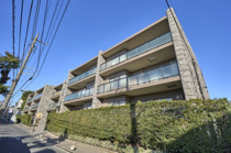 アデニウム大森山王の画像