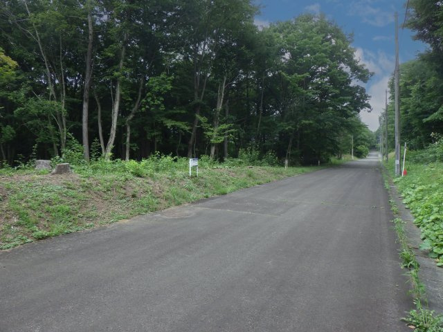 ロイヤルシティ八幡平リゾート①の前面道路含む現地写真