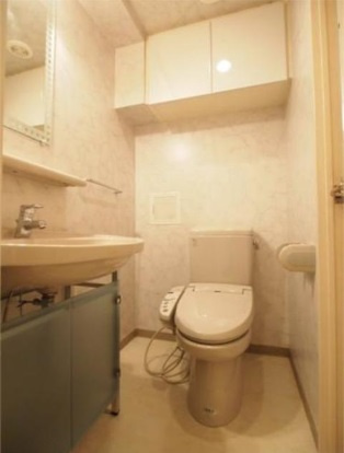 ガラ・グランディ大手町の洗面所