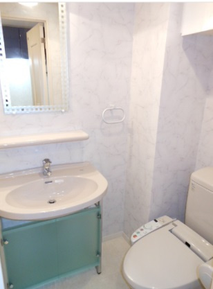 ガラ・グランディ大手町の洗面所