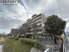 サンピエール中野の画像