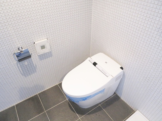 ダイチアパートメント南小岩のトイレ|トイレです☆