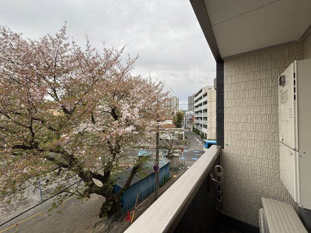 川崎市多摩区登戸新町のアパートの展望