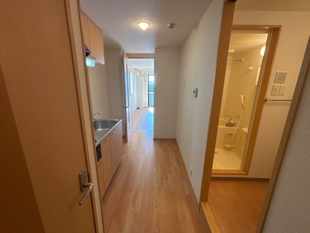 Ｋコオリナのその他