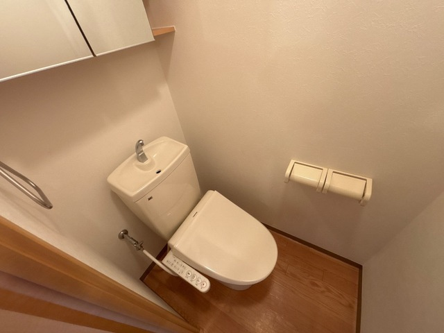 Ｋコオリナのトイレ