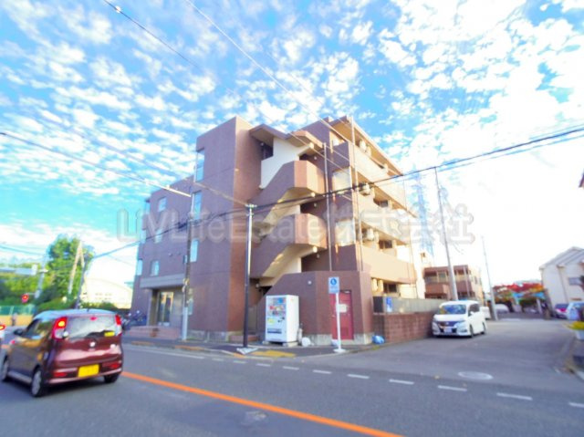 ＰＡＤＤＹ　ＦＩＶＥ(パディー　ファイブ)の外観