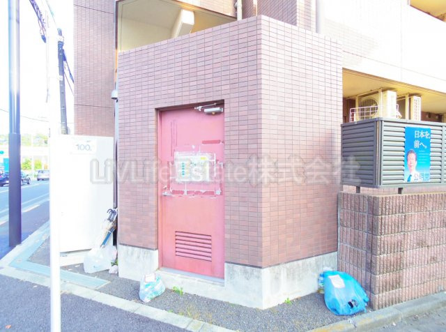 ＰＡＤＤＹ　ＦＩＶＥ(パディー　ファイブ)