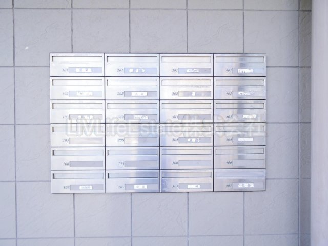 ＰＡＤＤＹ　ＦＩＶＥ(パディー　ファイブ)