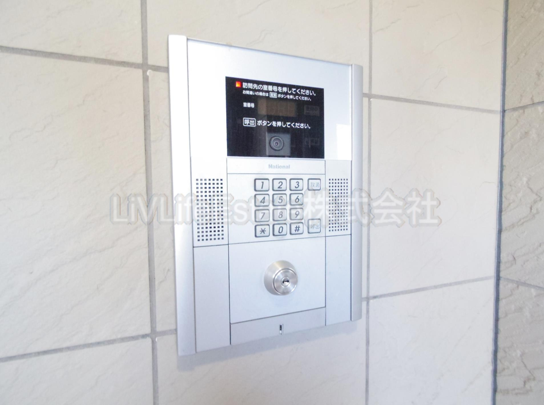 ＰＡＤＤＹ　ＦＩＶＥ(パディー　ファイブ)