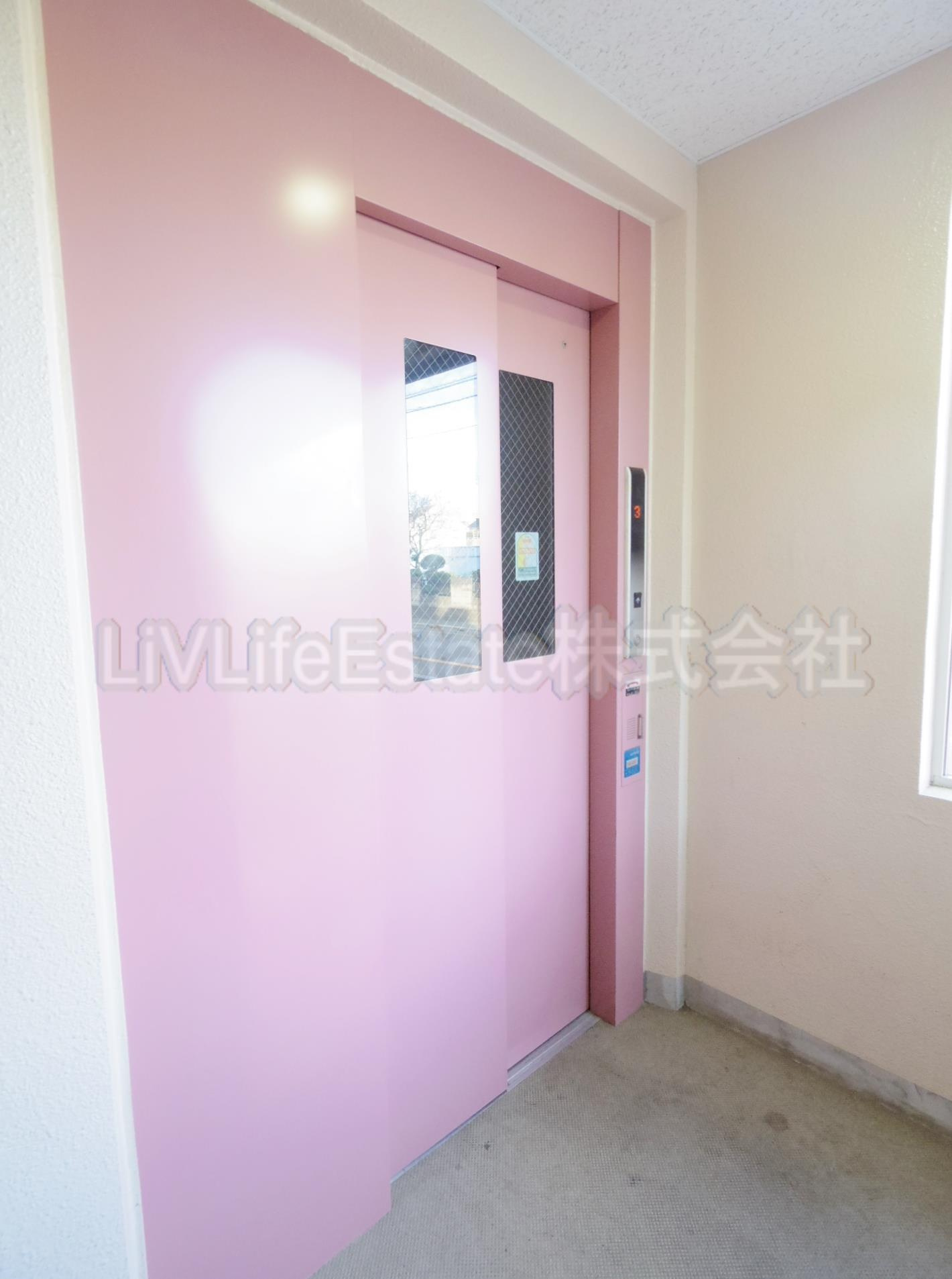 ＰＡＤＤＹ　ＦＩＶＥ(パディー　ファイブ)