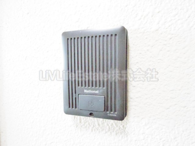 ＰＡＤＤＹ　ＦＩＶＥ(パディー　ファイブ)