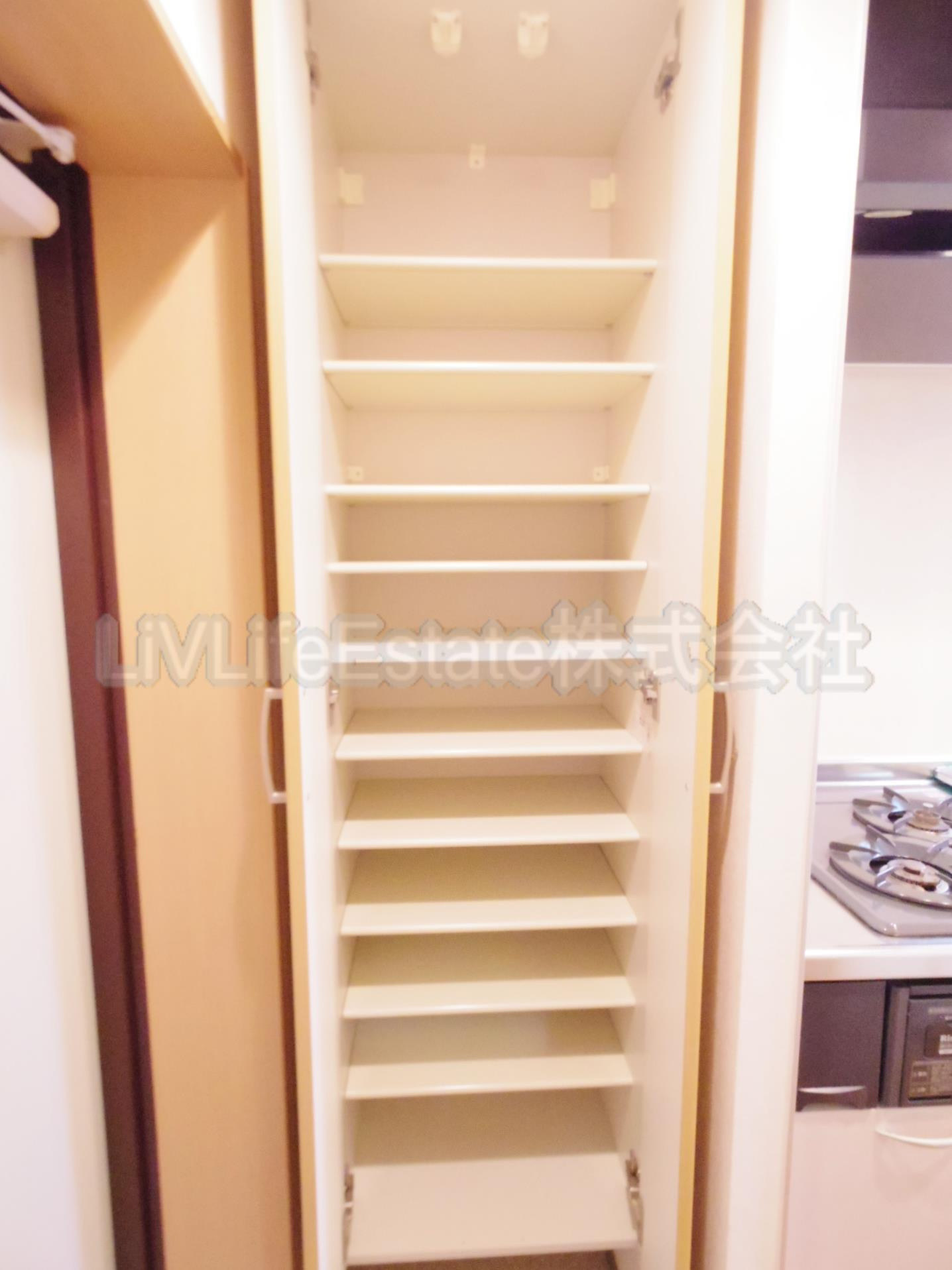 ＰＡＤＤＹ　ＦＩＶＥ(パディー　ファイブ)