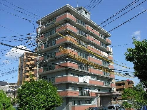 福岡市南区三宅３丁目の賃貸マンションの外観|外観写真