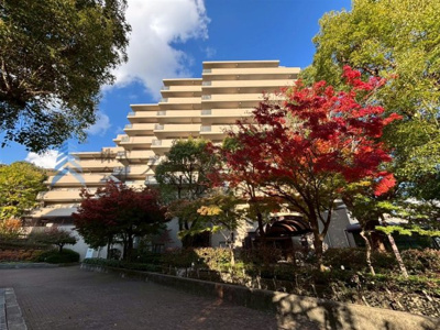 【その他】 | ブルックス神戸 | 紅葉がマンションに綺麗に映えますね♪