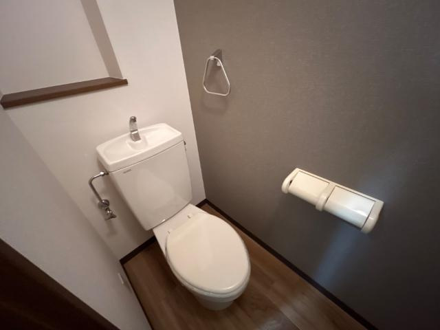 ラフィーヌ上野田のトイレ|トイレ