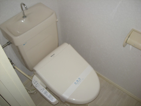 岸和田市摩湯町のハイツのトイレ|トイレも気になるポイント