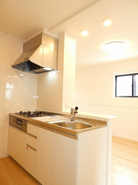 安芸高田市吉田町常友のアパートのキッチン|浄水器一体型シャワー水栓