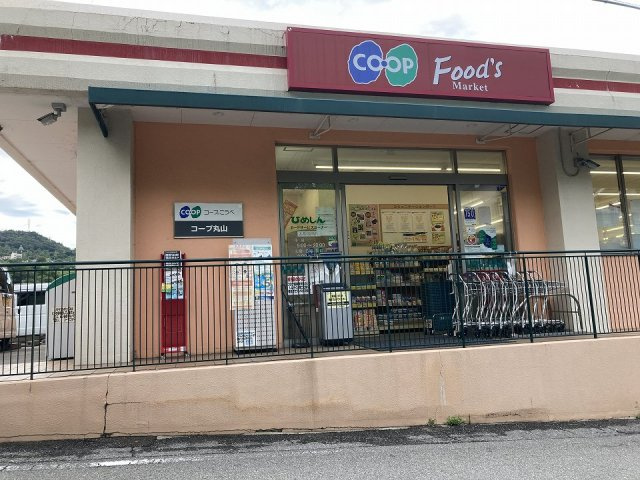 神戸市長田区西丸山町２丁目のアパートの周辺