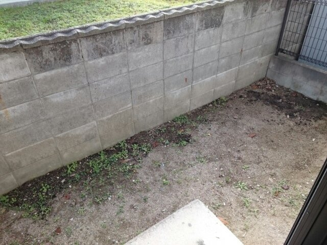 ミズキハイツの庭