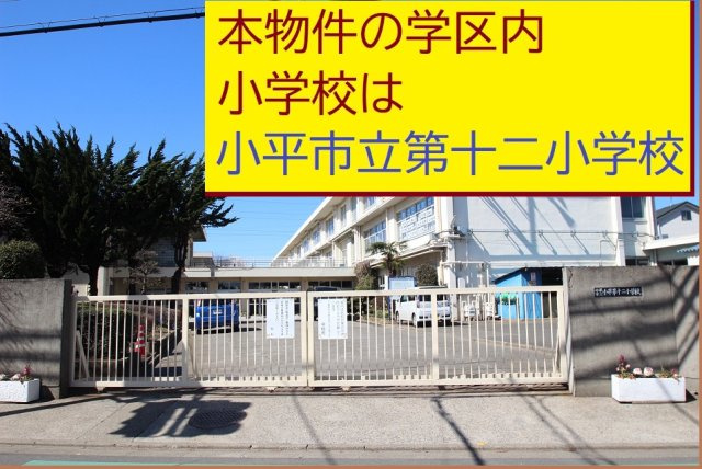 小平市小川町1丁目の周辺|本物件の学区内小学校は、「市立第十二小学校」です
