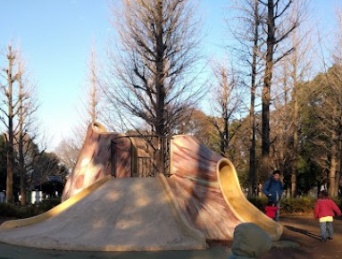 AGRACES小竹向原の周辺