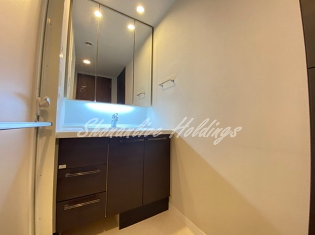 パークアクシス大船の洗面所