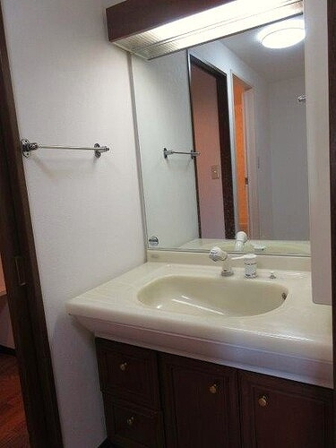 ライオンズシティ金山の洗面所|洗面台　※2019年4月撮影時