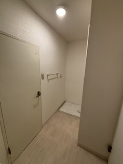 エクレールひばりが丘の洗面所
