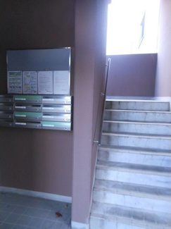 【その他】 | ソフィア