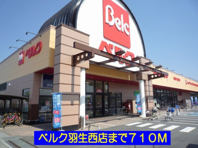 【周辺】 | グランディⅣ | ベルク羽生西店まで710m