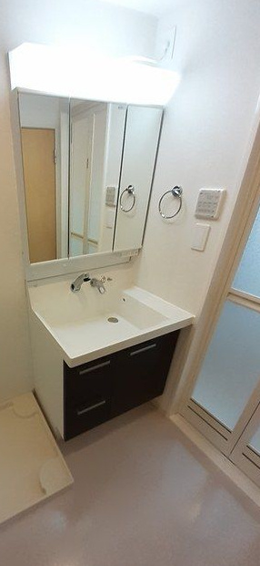 スピティ根津の洗面所