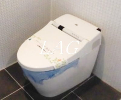 【トイレ】 | ダイチアパートメント南小岩 | トイレです。