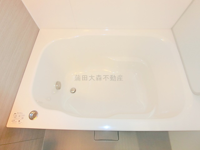 GRAN PASEO蒲田Ⅲの浴室