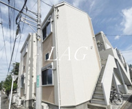 ルピナスの画像