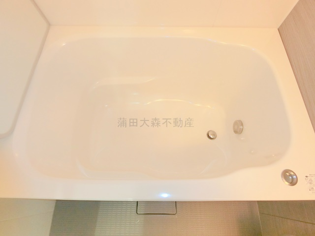 GRAN PASEO蒲田Ⅲの浴室