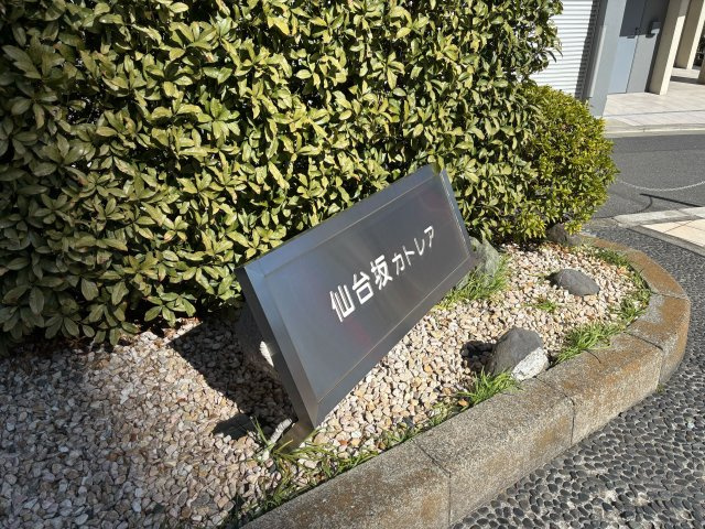 【その他】